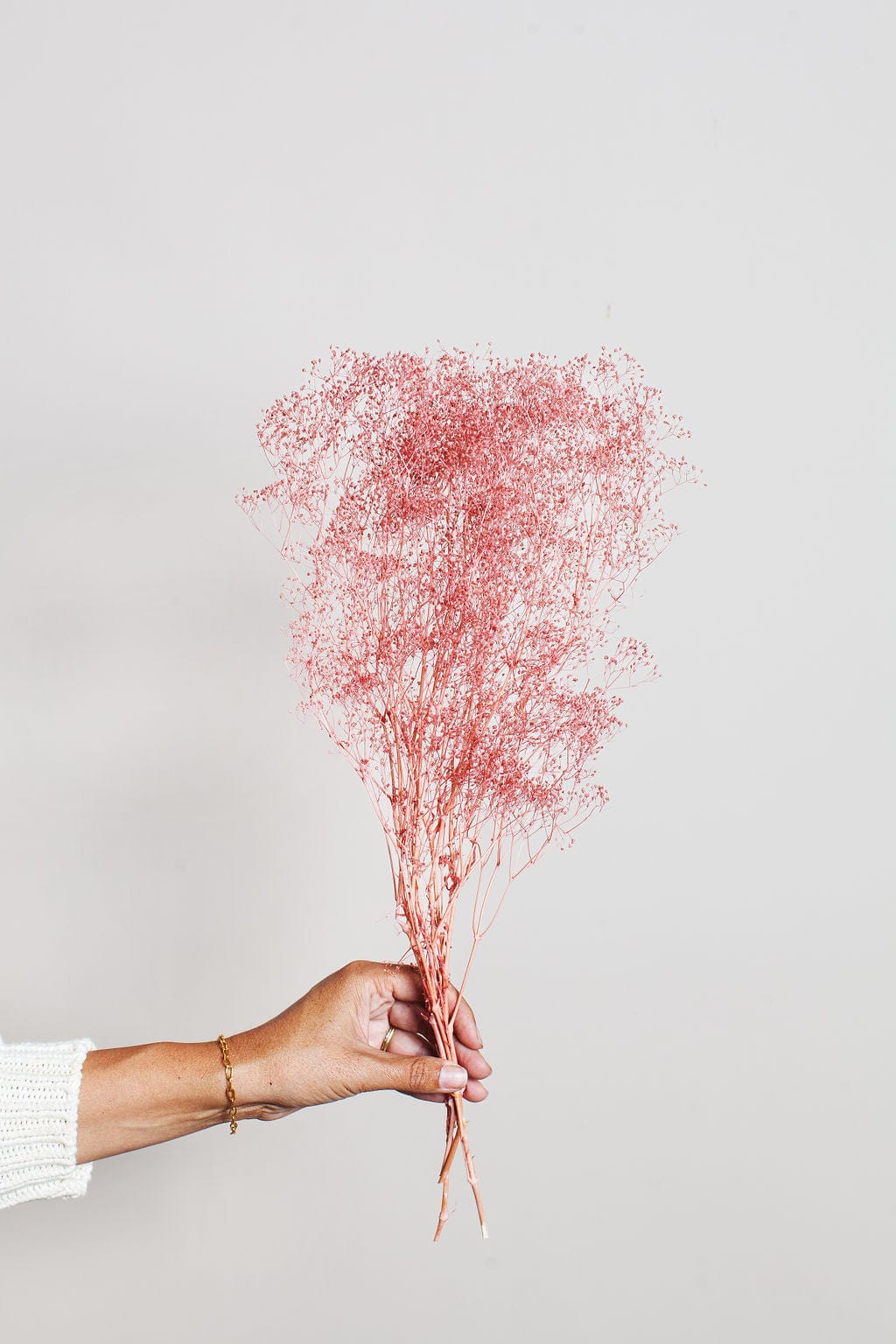 Cloud Pink Baby's Breath - Image 3