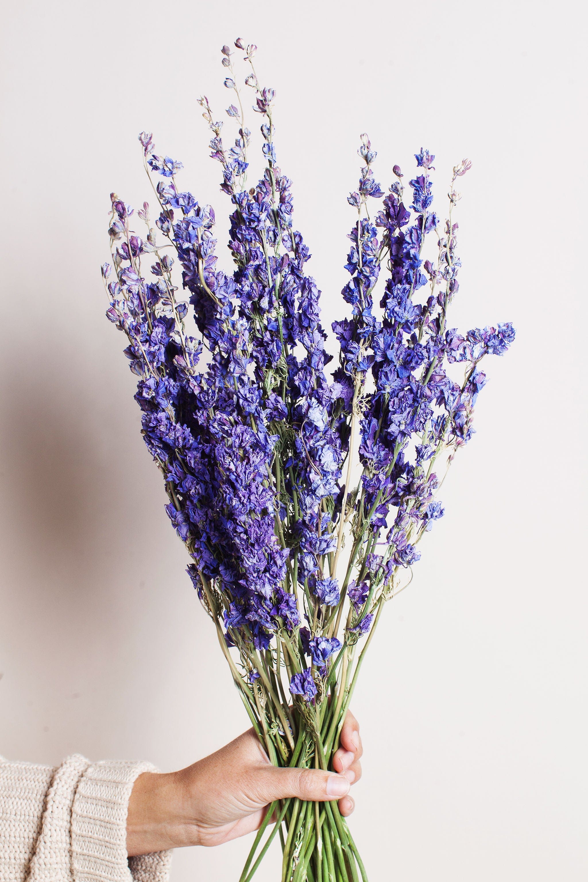 Dried Lilac Larkspur - Image 3