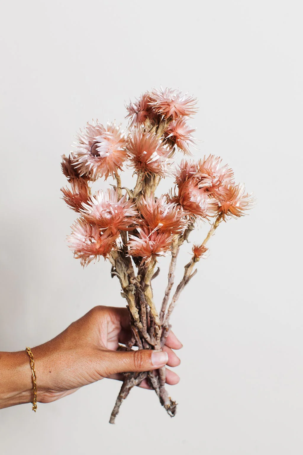 Mauve Silver Daisy - Image 3