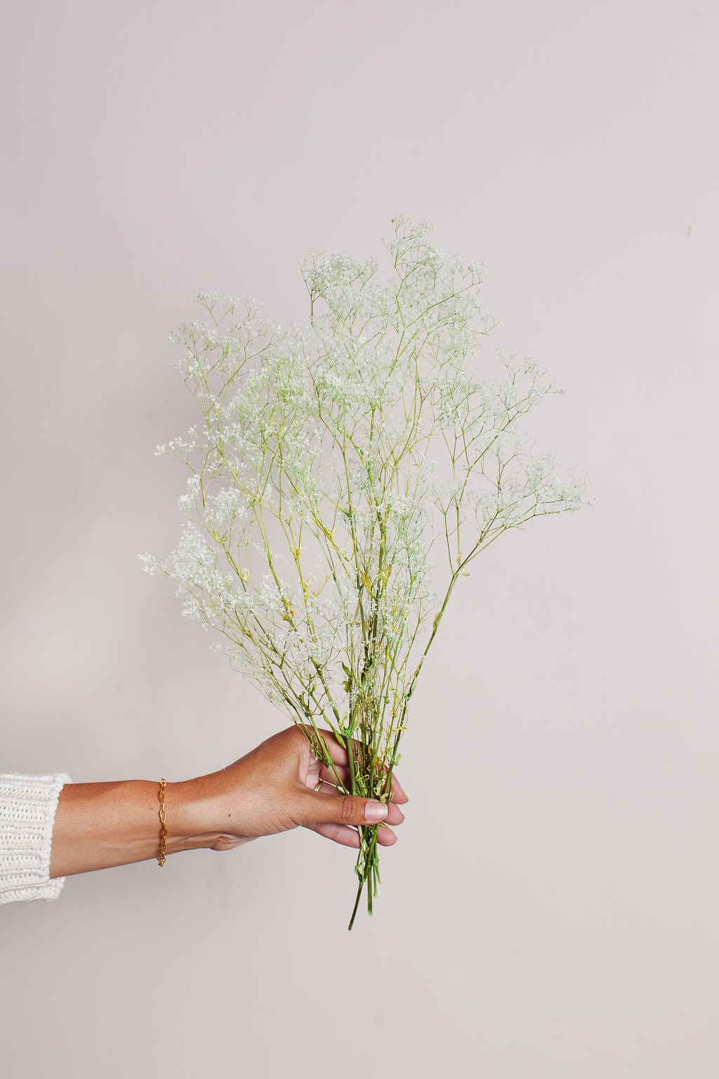 Preserved White Green Baby's Breath - Image 3