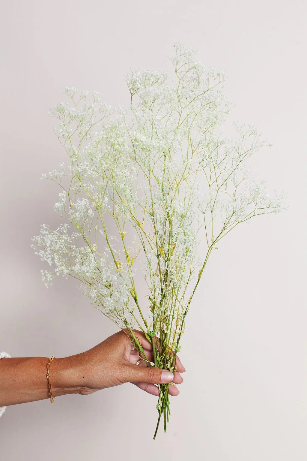 Preserved White Green Baby's Breath - Image 4