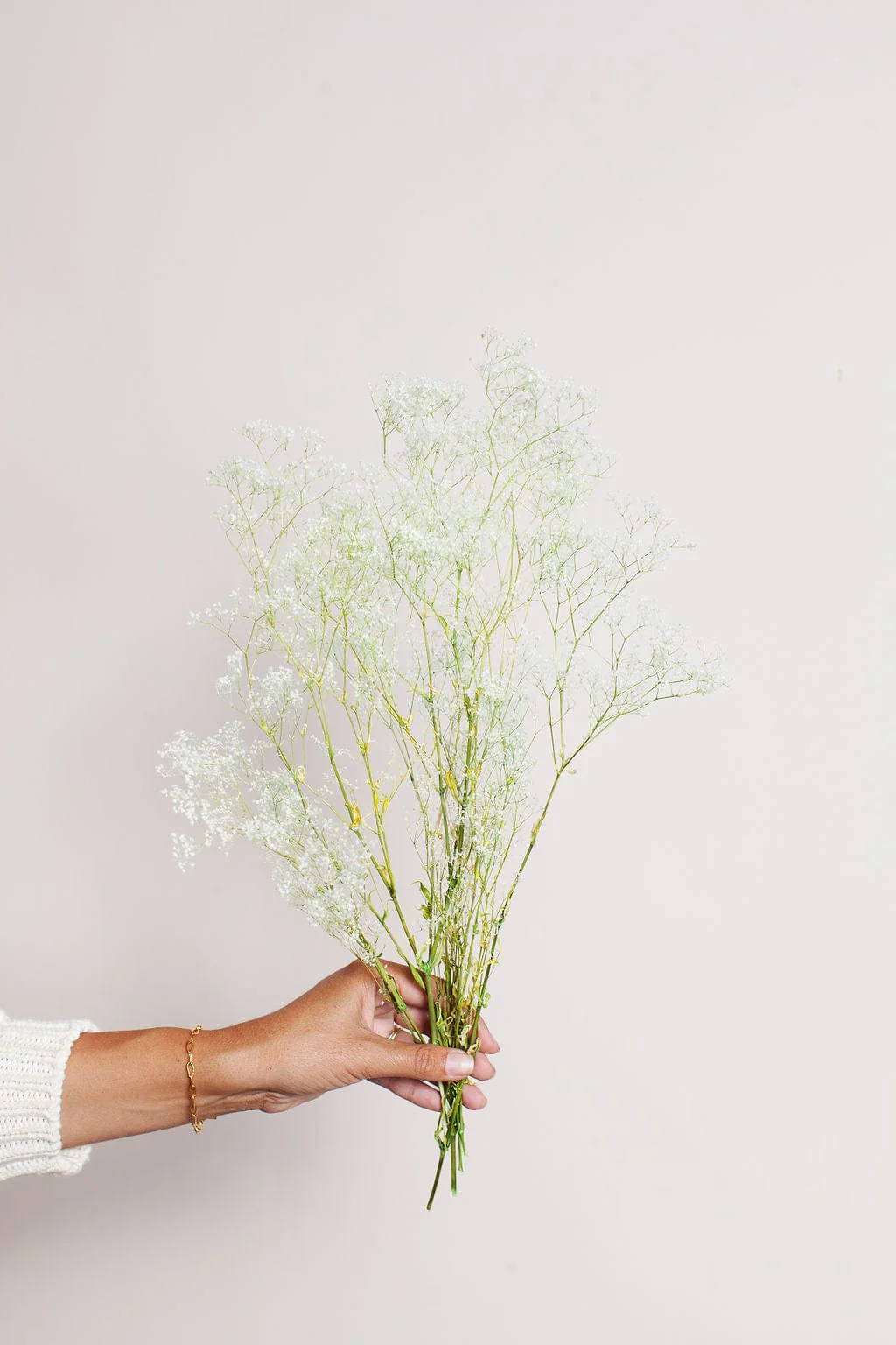 Preserved White Green Baby's Breath - Image 5