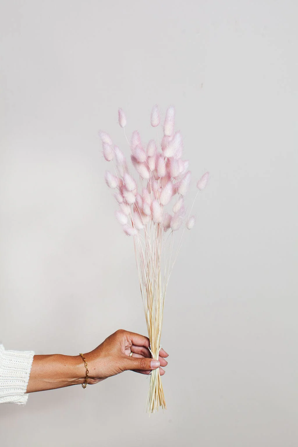 Preserved Two Tone Blush Bunny Tail - Image 3