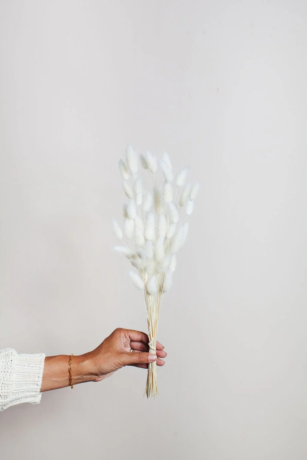 Dried White Bunny Tail - Image 3