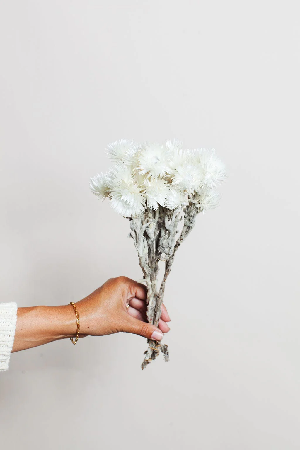 White Preserved Silver Daisy - Image 3