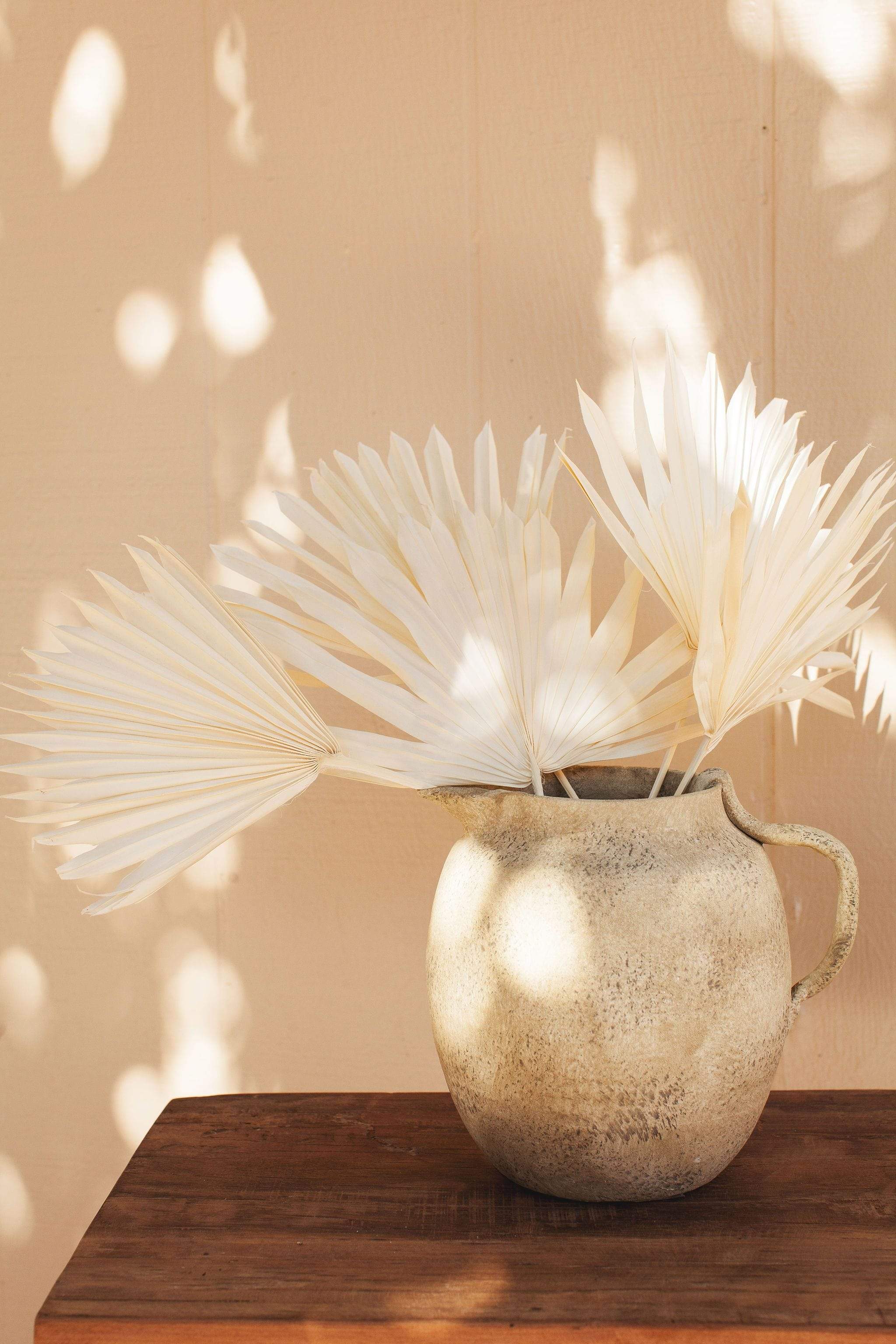 White Sun Palms - Image 5